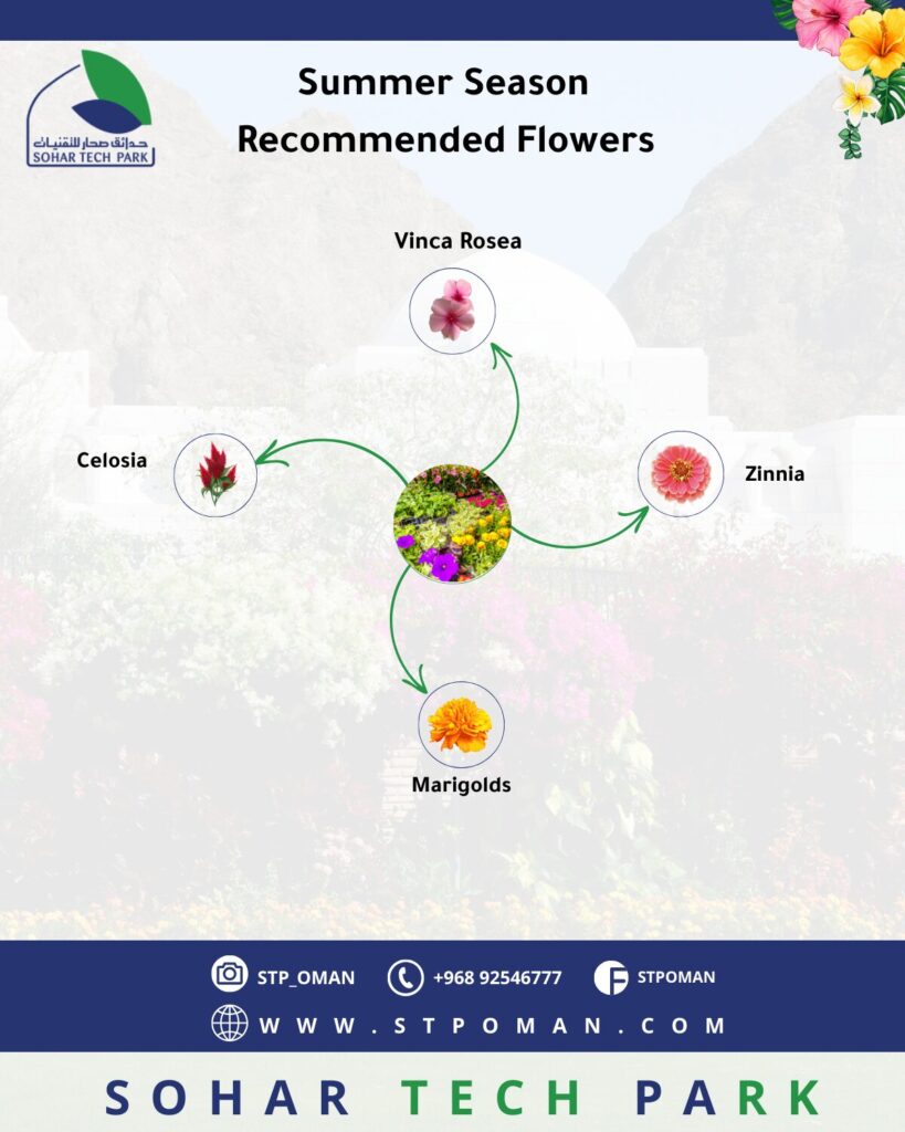 A Guide to Planting Seasonal Flowers Sultanate of Oman Sohar Tech Park