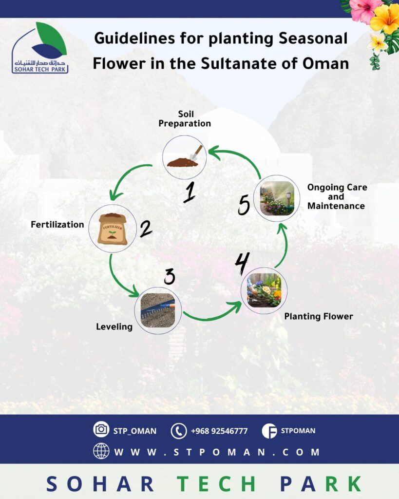 A Guide to Planting Seasonal Flowers Sultanate of Oman Sohar Tech Park