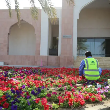 A Guide to Planting Seasonal Flowers: Sultanate of Oman